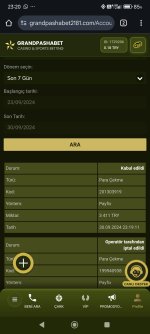 Screenshot_2024-09-30-23-20-27-079_com.android.chrome.jpg