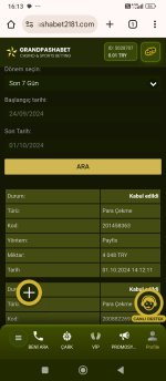 Screenshot_2024-10-01-16-13-56-698_com.android.chrome.jpg