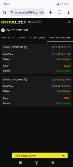 Screenshot_2024-10-01-22-41-52-834_com.android.chrome.jpg