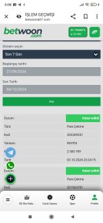 Screenshot_2024-10-04-00-08-37-775_com.android.chrome.jpg