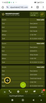 Screenshot_2024-10-07-11-42-40-808_com.android.chrome.jpg
