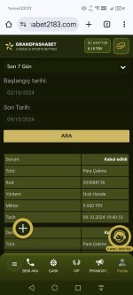 Screenshot_20241009_230110_com_android_chrome_ChromeTabbedActivity.jpg