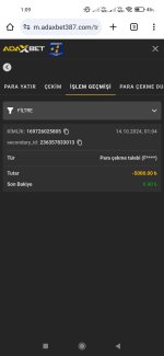 Screenshot_2024-10-14-01-09-07-203_com.android.chrome.jpg