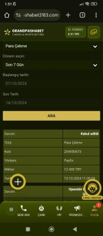 Screenshot_2024-10-14-01-51-06-159_com.android.chrome.jpg