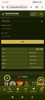 Screenshot_2024-10-16-11-22-40-114_com.android.chrome.jpg