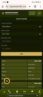 Screenshot_2024-10-17-18-04-06-861_com.android.chrome.jpg