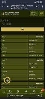Screenshot_2024-10-17-21-13-52-202_com.android.chrome.jpg