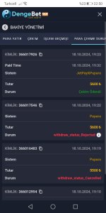 Screenshot_20241018_225002_com.android.chrome.jpg