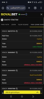 Screenshot_20241020-071222.jpg