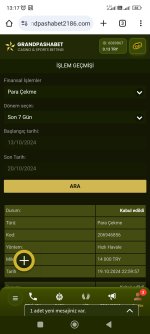 Screenshot_2024-10-20-13-17-15-355_com.android.chrome.jpg
