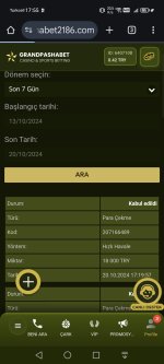 Screenshot_20241020_175516_com_android_chrome_ChromeTabbedActivity.jpg