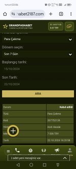 Screenshot_20241022_230654_com_android_chrome_ChromeTabbedActivity.jpg