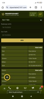 Screenshot_2024-10-23-01-33-11-598_com.android.chrome.jpg