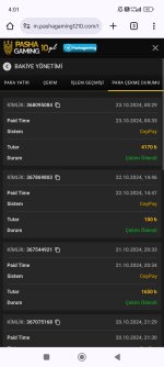Screenshot_2024-10-23-04-01-14-522_com.android.chrome.jpg