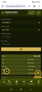 Screenshot_2024-10-24-09-58-45-522_com.android.chrome.jpg