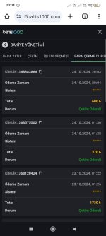 Screenshot_2024-10-24-20-04-23-897_com.android.chrome.jpg