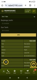 Screenshot_2024-10-28-08-59-03-947_com.android.chrome.jpg