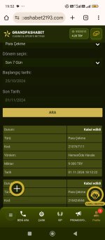 Screenshot_2024-11-01-19-52-27-355_com.android.chrome.jpg