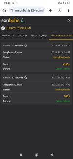 Screenshot_2024-11-05-21-17-43-287_com.android.chrome.jpg