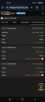 Screenshot_20241107-211303_Chrome.jpg