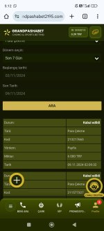 Screenshot_2024-11-09-05-12-07-004_com.android.chrome.jpg