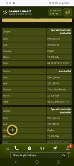 Screenshot_20241109_121455.jpg