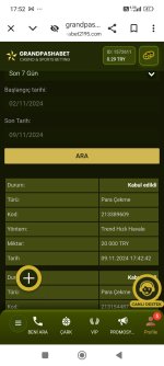 Screenshot_2024-11-09-17-52-57-053_com.android.chrome.jpg
