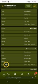 Screenshot_20241110_030749_Chrome.jpg