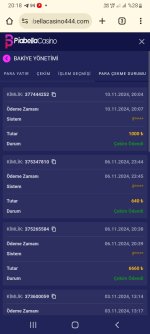 Screenshot_20241110_201815_Chrome.jpg