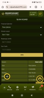 Screenshot_2024-11-11-17-45-17-806_com.android.chrome.jpg
