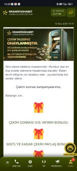 Screenshot_2024-11-12-19-20-28-566_com.android.chrome.jpg