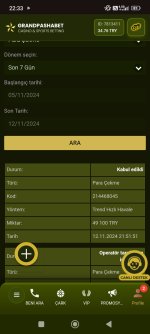 Screenshot_2024-11-12-22-33-04-292_com.android.chrome.jpg