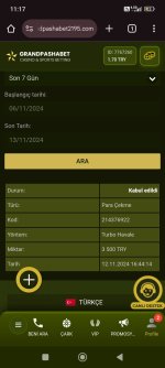 Screenshot_2024-11-13-11-17-11-525_com.android.chrome.jpg