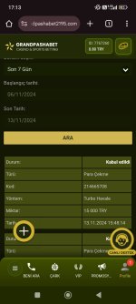 Screenshot_2024-11-13-17-13-09-072_com.android.chrome.jpg