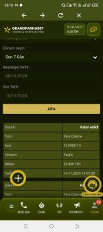 Screenshot_20241115-051846.jpg