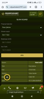 Screenshot_2024-11-15-20-22-25-943_com.android.chrome.jpg