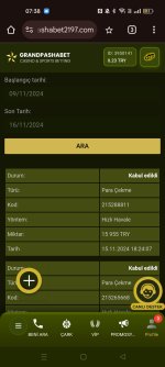 Screenshot_2024-11-16-07-38-47-24_40deb401b9ffe8e1df2f1cc5ba480b12.jpg