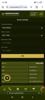 Screenshot_2024-11-17-00-04-18-843_com.android.chrome.jpg