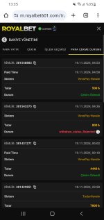Screenshot_20241119-133535_Chrome.jpg