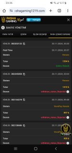 Screenshot_20241120-233635_Chrome.jpg
