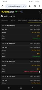 Screenshot_20241122-040846_Chrome.jpg