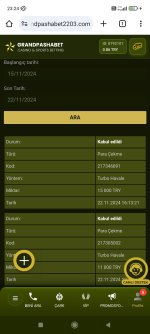 Screenshot_2024-11-22-23-24-46-531_com.android.chrome.jpg