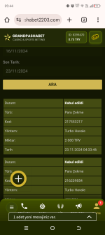 Screenshot_20241123-094450.png