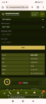 Screenshot_2024-11-27-00-40-48-162_com.android.chrome.jpg