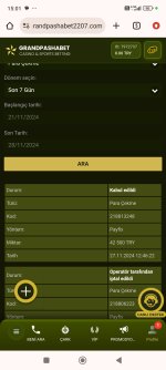 Screenshot_2024-11-28-15-01-25-090_com.android.chrome.jpg