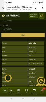 Screenshot_2024-11-28-21-25-44-14_948cd9899890cbd5c2798760b2b95377.jpg