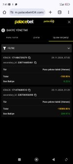 Screenshot_2024-11-29-07-41-34-081_com.android.chrome.jpg