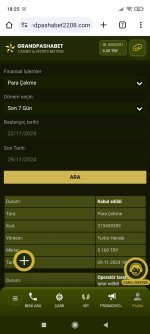 Screenshot_2024-11-29-18-25-30-046_com.android.chrome.jpg