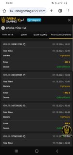 Screenshot_20241201-163346_Chrome.jpg