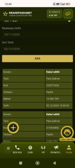 Screenshot_2024-12-02-15-49-48-217_com.android.chrome.jpg